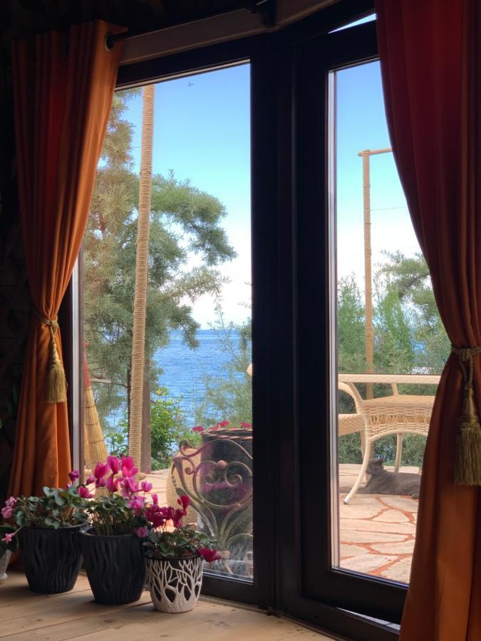 Ak-Tengir Yurt Resort Tossor Zewnętrze zdjęcie