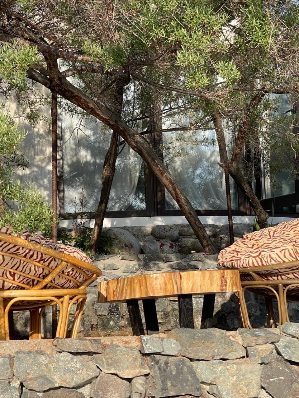 Ak-Tengir Yurt Resort Tossor Zewnętrze zdjęcie